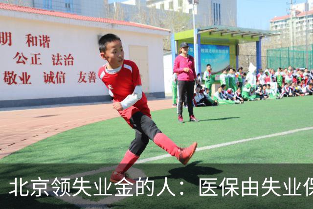 北京领失业金的人：医保由失业保险基金代缴，停了要赶紧自己续