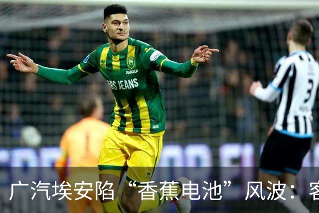 广汽埃安陷“香蕉电池”风波：客服称在走召回流程，三名车主投诉遭“只修不换”后获回应