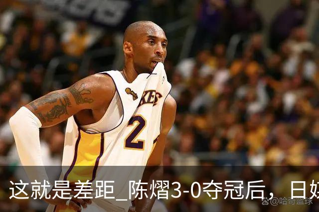 这就是差距? 陈熠3-0夺冠后，日媒一针见血，指出张本美和惨败原因